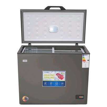 CONGELATEUR DESKA HORIZONTAL
300LITRES GRIS FRZ310DK image 2
