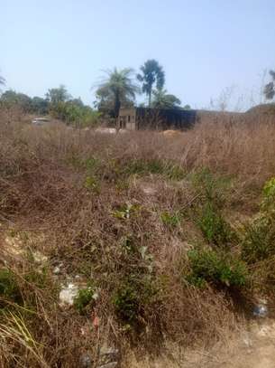 A VENDE TERRAIN CAP SKIRRING  800m2 image 7