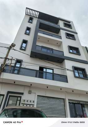 APPARTEMENT AUX MAMELLES image 1