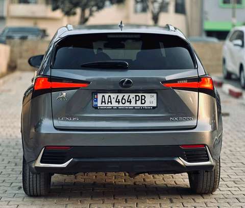 2020 Lexus NX 300H Hybrid image 15