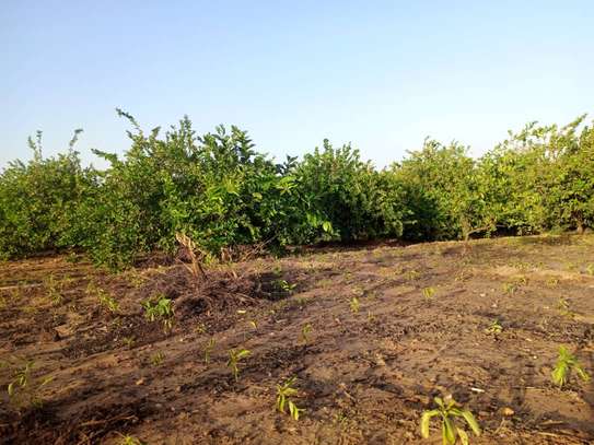 𝐕𝐞𝐫𝐠𝐞𝐫 𝐝𝐞 1 𝐡𝐞𝐜𝐭𝐚𝐫𝐞𝐬 6000m2 𝐞𝐧 𝐩𝐥𝐞𝐢𝐧𝐞 𝐩𝐫𝐨𝐝𝐮𝐜𝐭𝐢𝐨𝐧 image 15