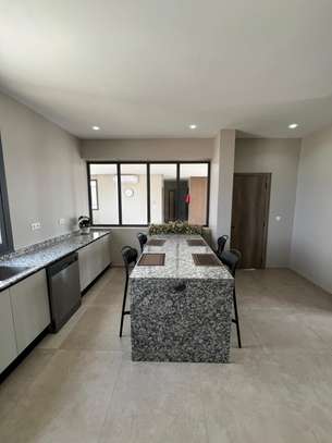 Penthouse de 460 m² F5 à louer à Mermoz image 8