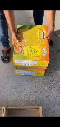 Carton Tandarma Dattes image 3