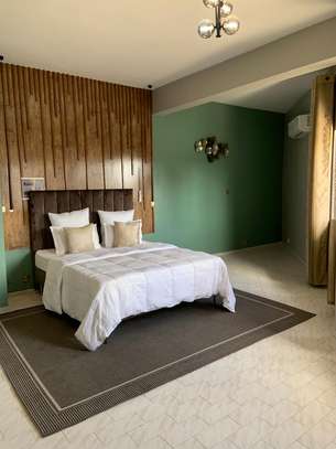 Studio Meublé à louer au Plateau image 10