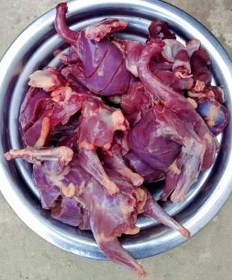 Viande de pigeon image 1