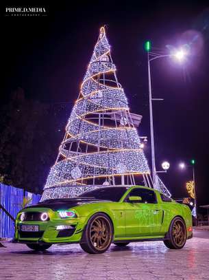 Ford Mustang image 2
