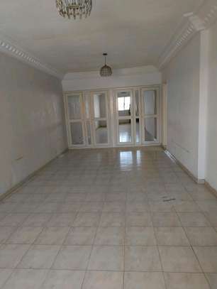 Sipres F4 a louer image 3