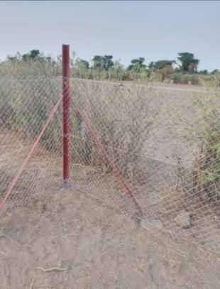 Grillage et serre agricole image 5