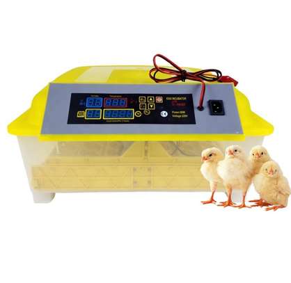 Couveuse automatique neuve image 2