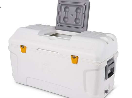 Igloo maxcold 156 litre discount