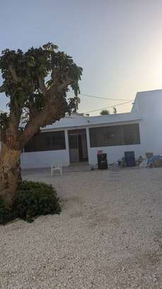 Villa basse de 1000 m² à louer à Dieupeul 1 image 15