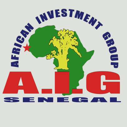 AIG Sénégal image 1