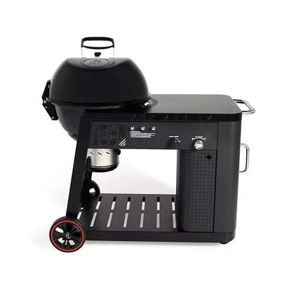 Barbecue 2 en 1 charbon et gaz image 1