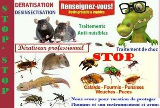 Désinsectisation-dératisation-dereptilisation image 1