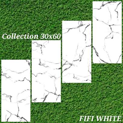 Carreaux Faïence 30X60 image 5
