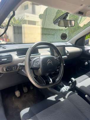 C4 cactus image 6