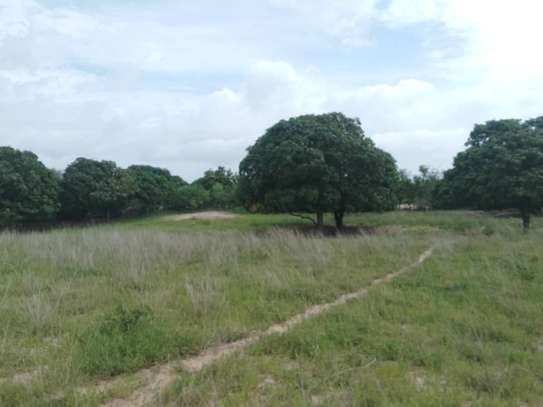 5 hectares à vendre entre Saou et Diambalo image 8