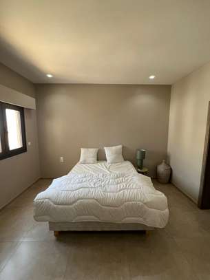 Penthouse de 460 m² F5 à louer à Mermoz image 2