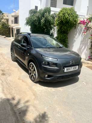 C4 cactus image 2