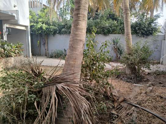 une villa louer mermoz image 3