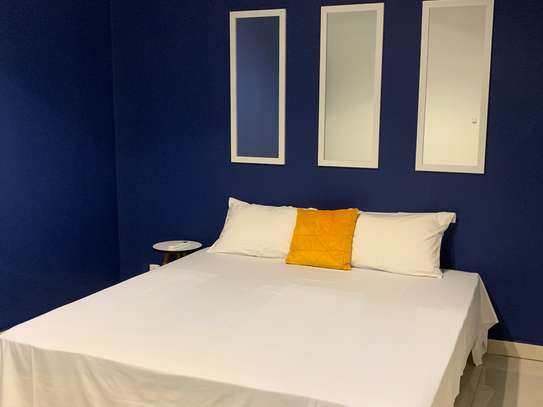 APPARTEMENT MEUBLÉ À LOUER MERMOZ image 10