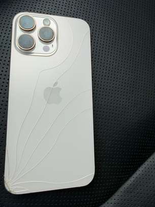 iPhone 16 Pro Max image 2