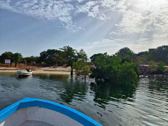 Campement Karaume - Île de Djissor image 10
