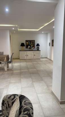 Appartement meublé f3 au plateau image 15