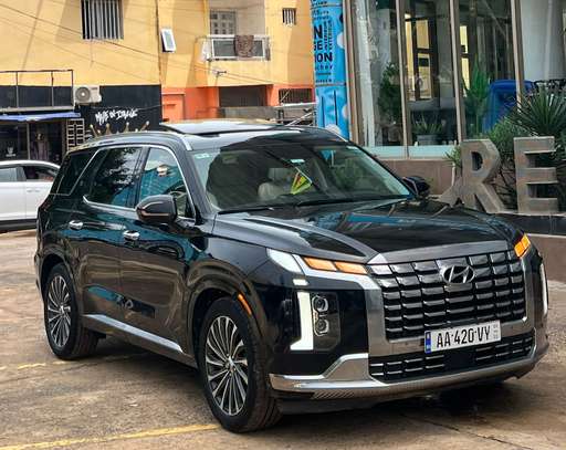 HYUNDAI PALISADE Année :2024 image 6
