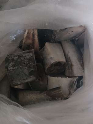 10 kg seud TG, sompate TG, beurre TG, todjé, image 5