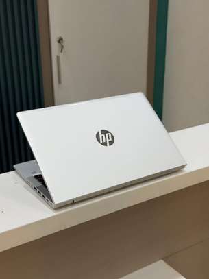HP ProBook 445 G8 image 2