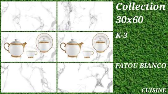Carreaux Faïence 30X60 image 2