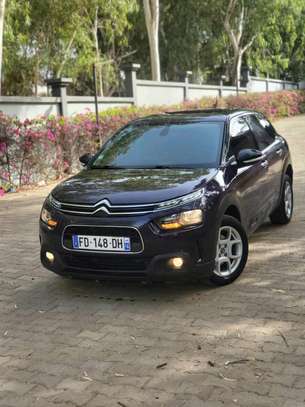 citroen c4-cactus 2019 image 15