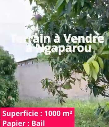 Terrain à vendre à Ngaparou image 4