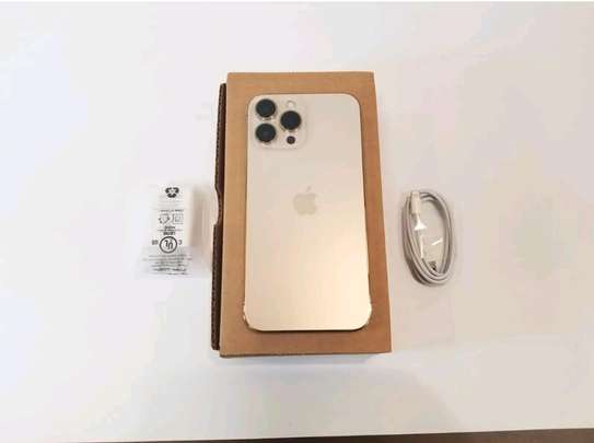 Iphon 13 pro max 512Go Gold image 1