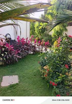 villa louer mermoz image 1