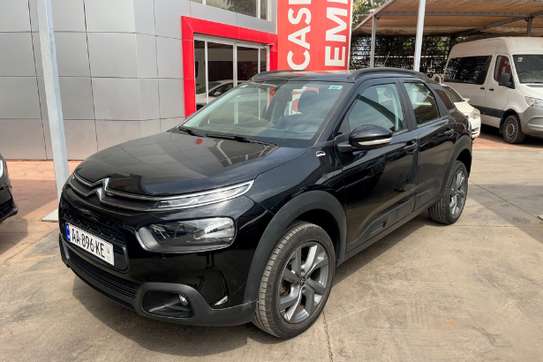 C4 CACTUS image 1
