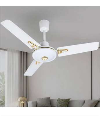 Ventilateur sur pied et plafonnier image 3