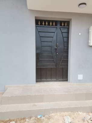 Porte et grille en fer image 3