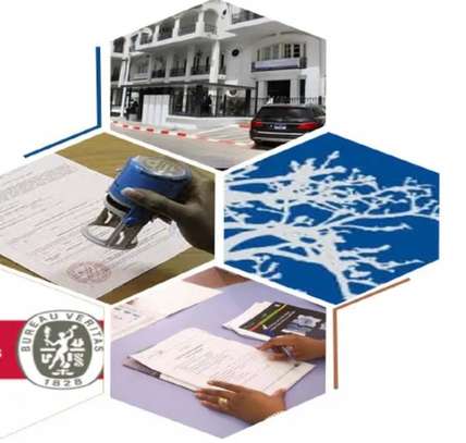 CRÉATION DE SOCIÉTÉ DOMICILIATION 1 AN GRATUIT image 2