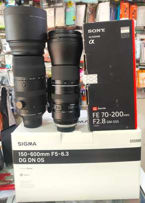Sigma 150-600 monture Sony image 2