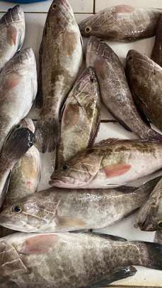 FRUITS DE MER ET POISSONS image 3