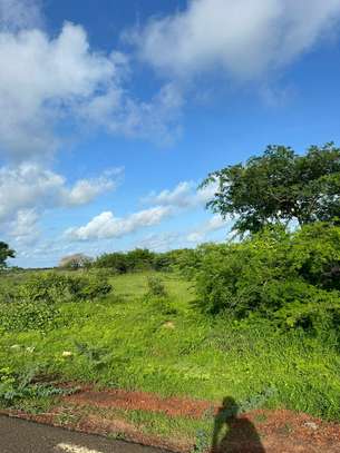 Verger à vendre Palmarin à Facao image 6