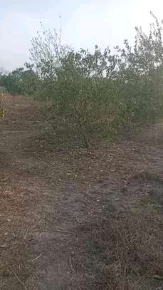 Verger 1 hectare et demi à Toubacouta -Foundioune image 6