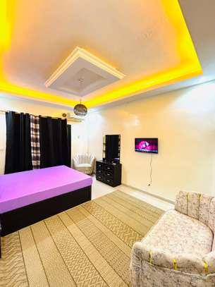 Chambre meublée aux Almadie image 8