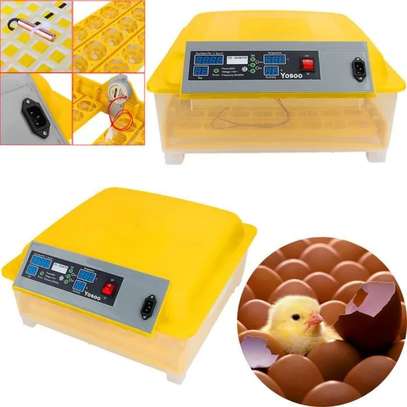 Couveuse Digital Contrôle Température Automatique 48 œufs image 1