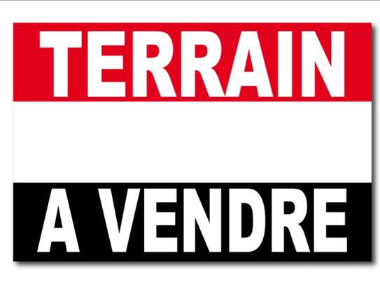 Terrain à vendre à yenn image 1