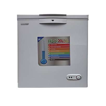 CONGELATEUR 230LITRES SMART TECHNOLOGY HORIZONTAL GRIS image 1
