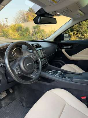 Jaguar venant image 5