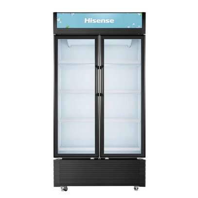 Réfrigérateur Vitrine Hisense FL81WC - 600 Litres (2 Portes) image 7